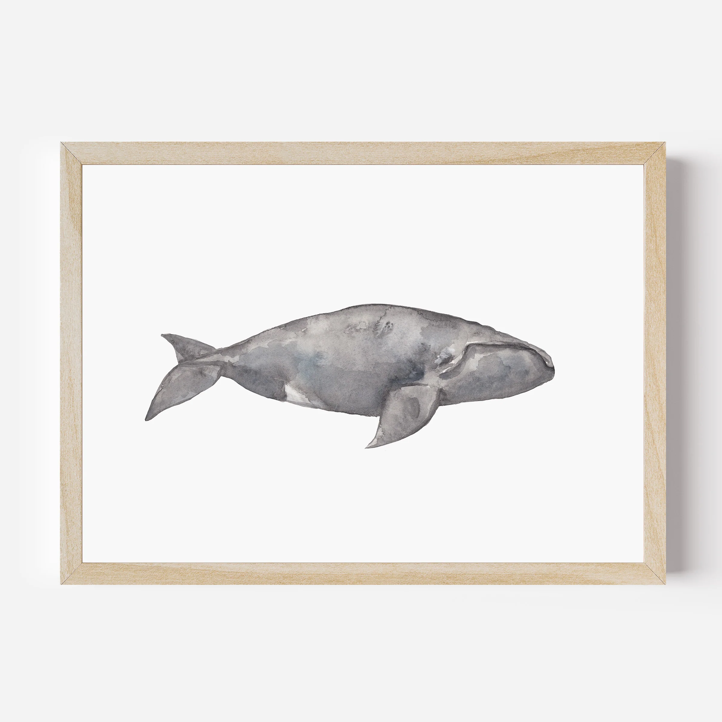 Watercolor Right Whale Painting - Image 3