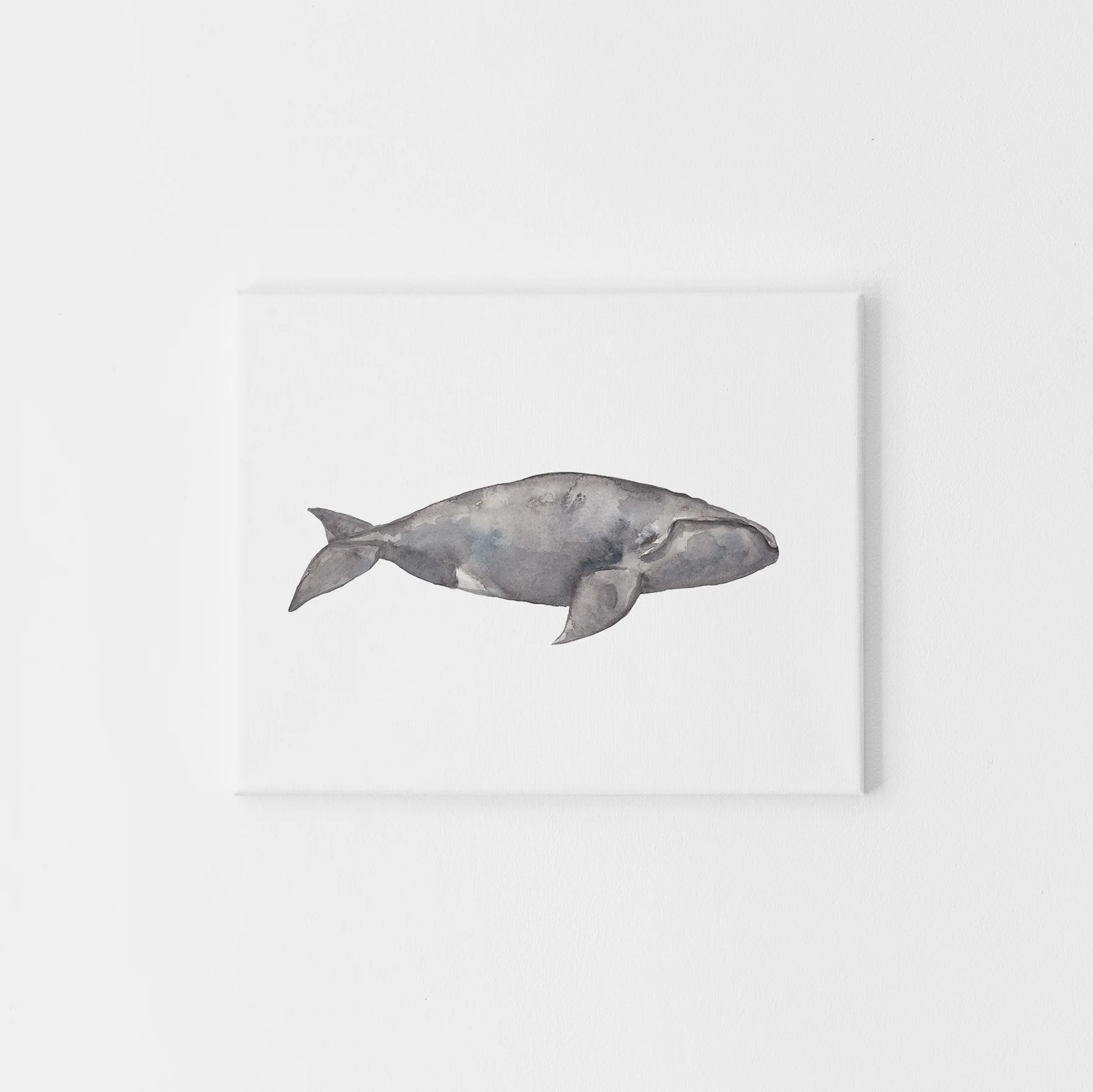 Watercolor Right Whale Painting - Image 5