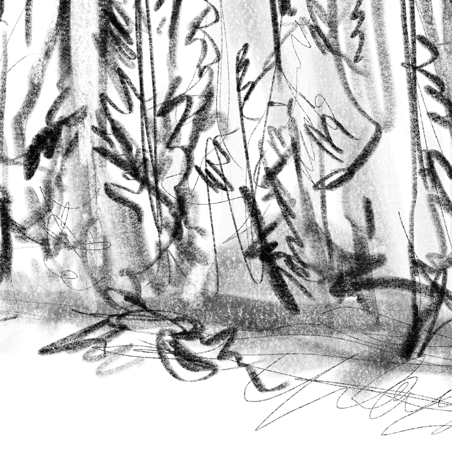 Winter Woods Sketch - Image 12